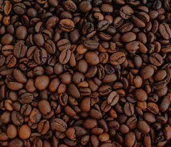 Grãos de café 86 pontos